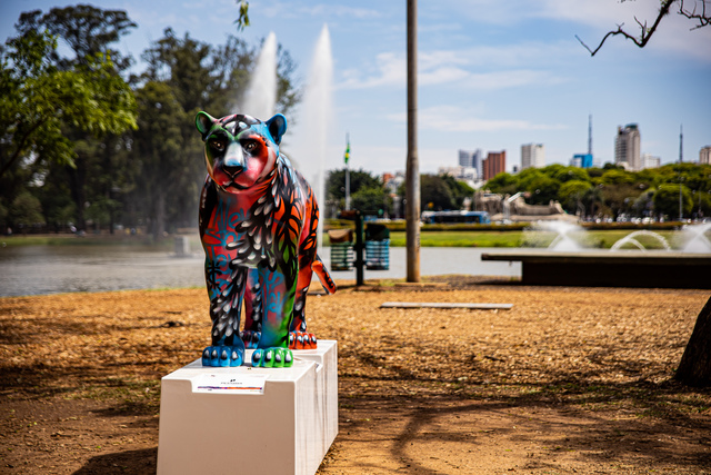 Maior mostra a céu aberto do Brasil alertará para risco de extinção da&nbsp;Onça-Pintada