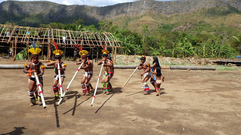 Epistemicídio: Perder línguas nativas é perder plantas medicinais, dizem&nbsp;estudos