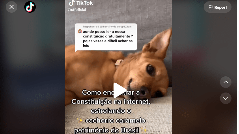 “oi seguimores, eu voltei”: conheça o TikTok do&nbsp;STF