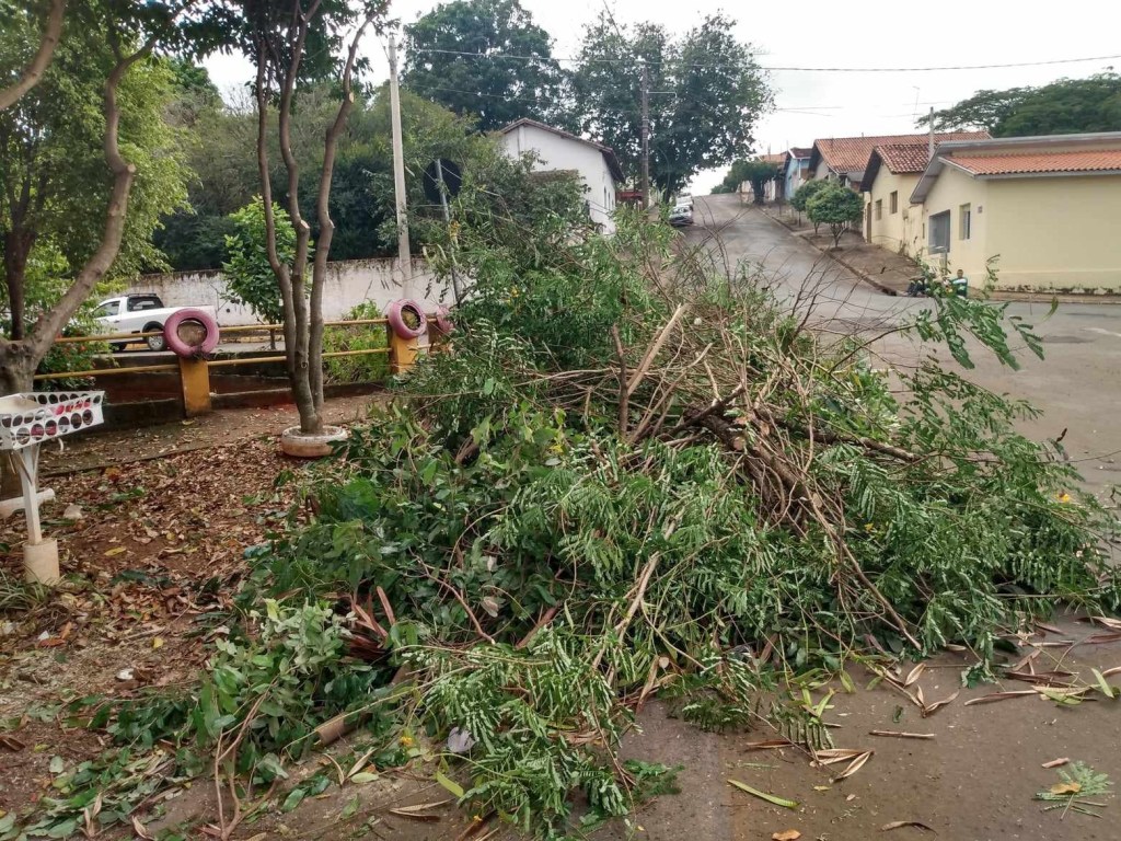 Moradores da Vila Naufel denunciam destruição de bosque&nbsp;🌳📽
